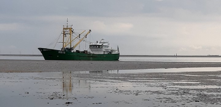 Bestandserfassung Muschelbank 2021