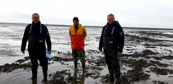 Bestandserfassung Muschelbank 2021